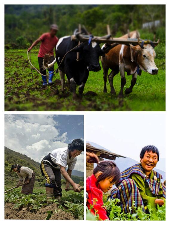གཞལམ་སྒང་